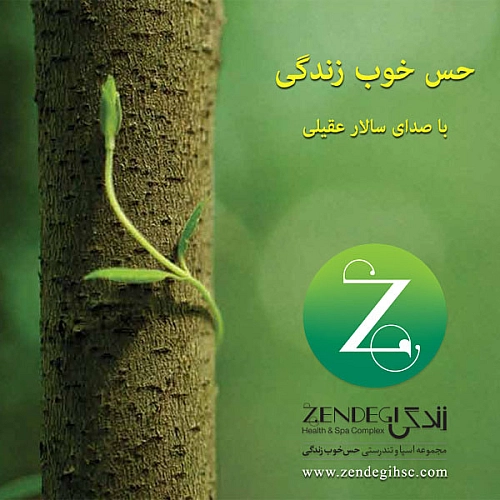 Cover artwork for Hesse Khoobe Zendegi by Salar Aghili